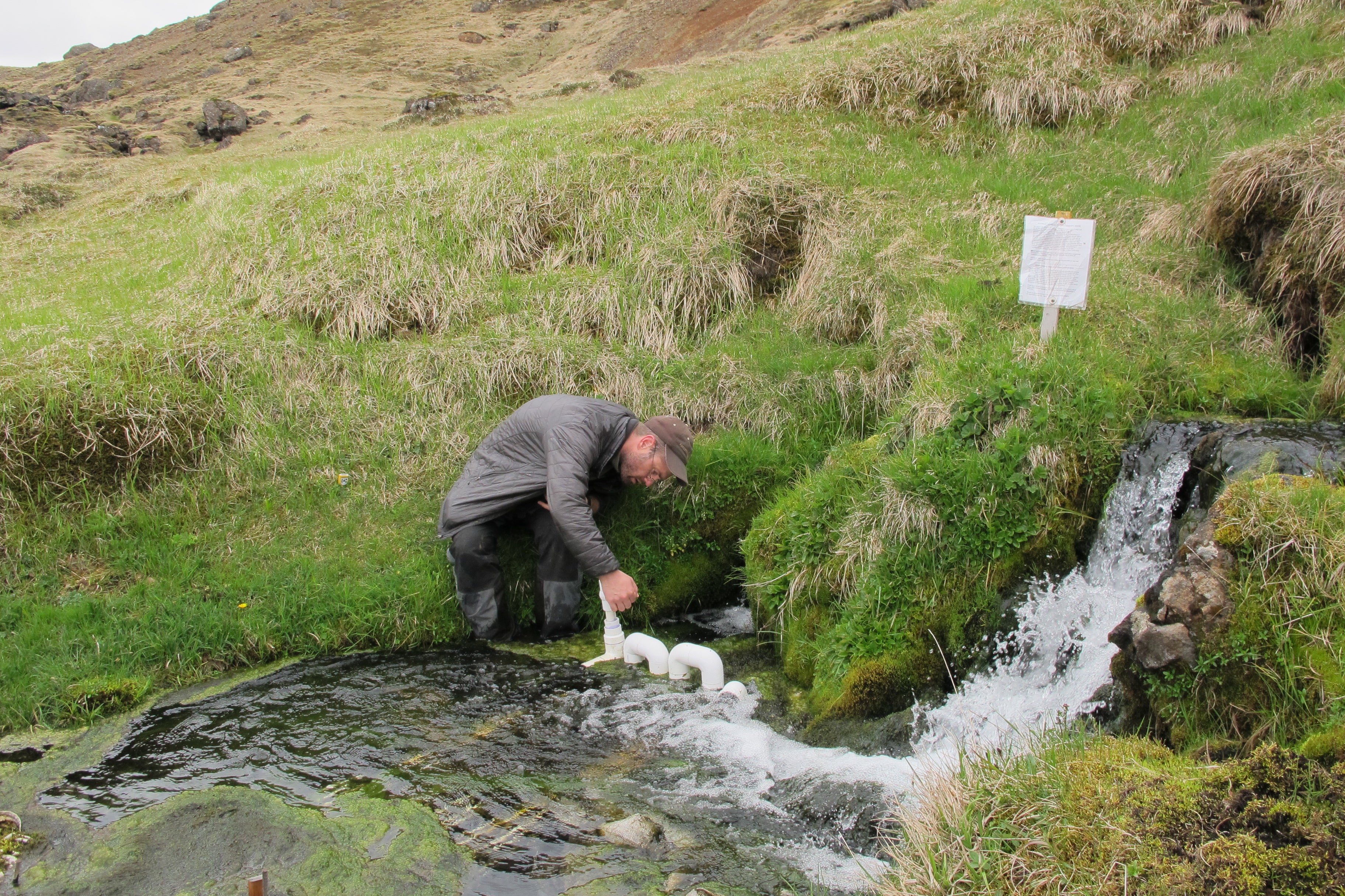 In Iceland Stream, Possible Glimpse Of Warming Future