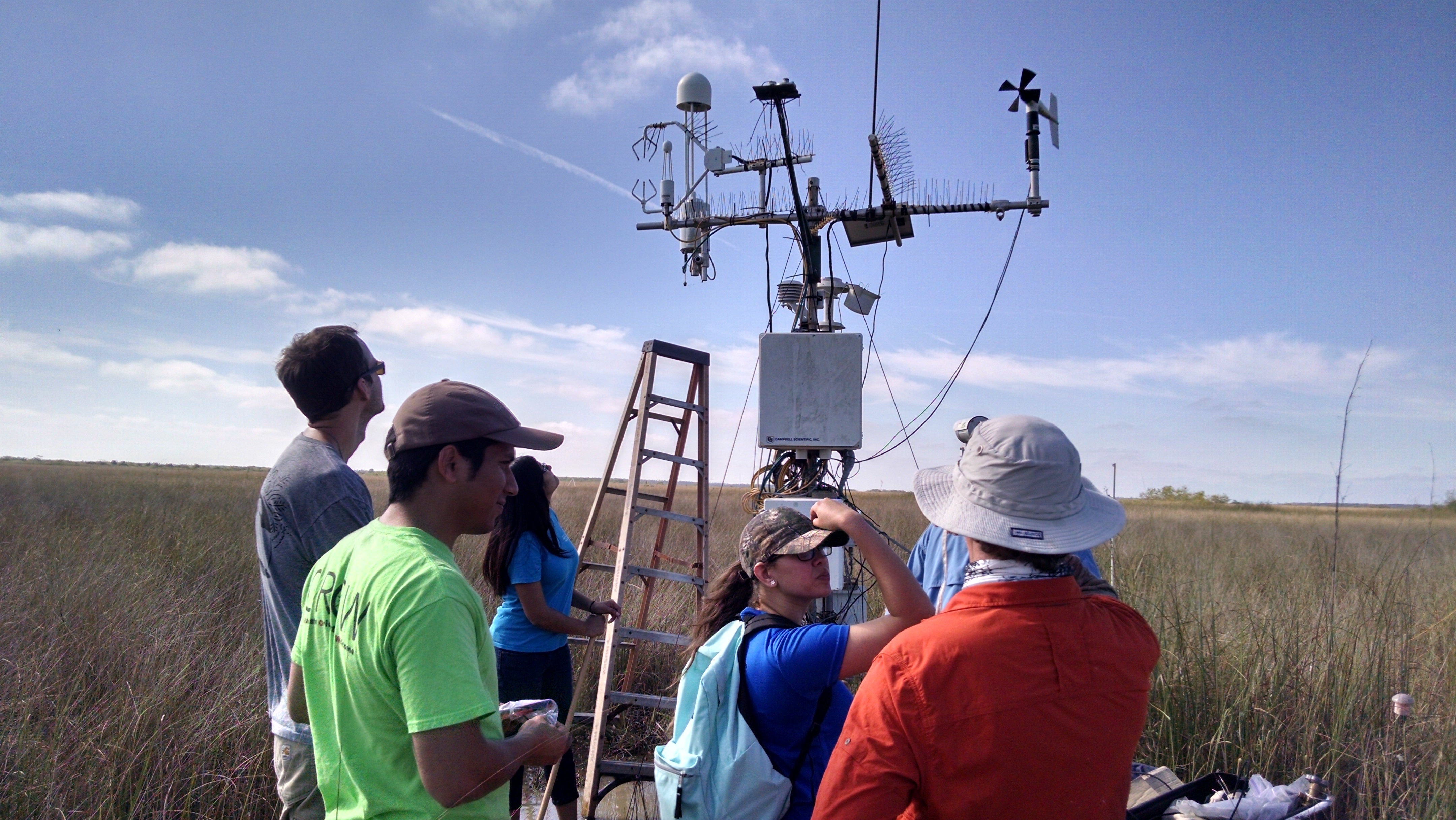 UA Researchers Receive NSF Grant to Study Everglades’ Greenhouse Gases