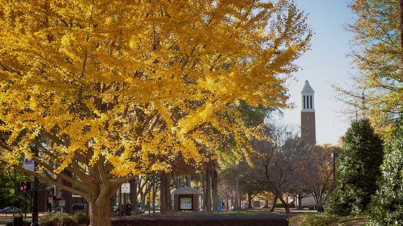 UA – We’re Thankful for You