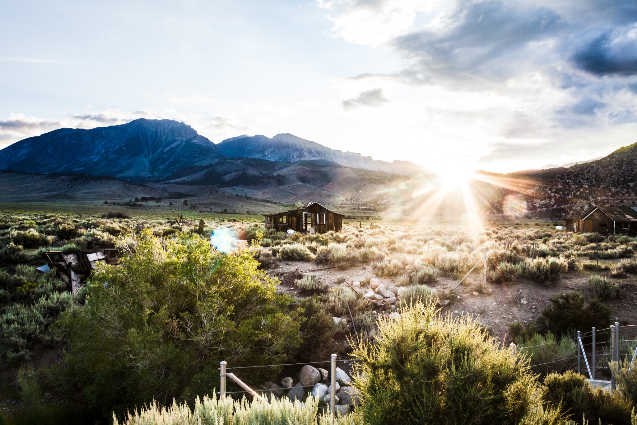"Abandoned along the Interstate" by Ines Schaefer
