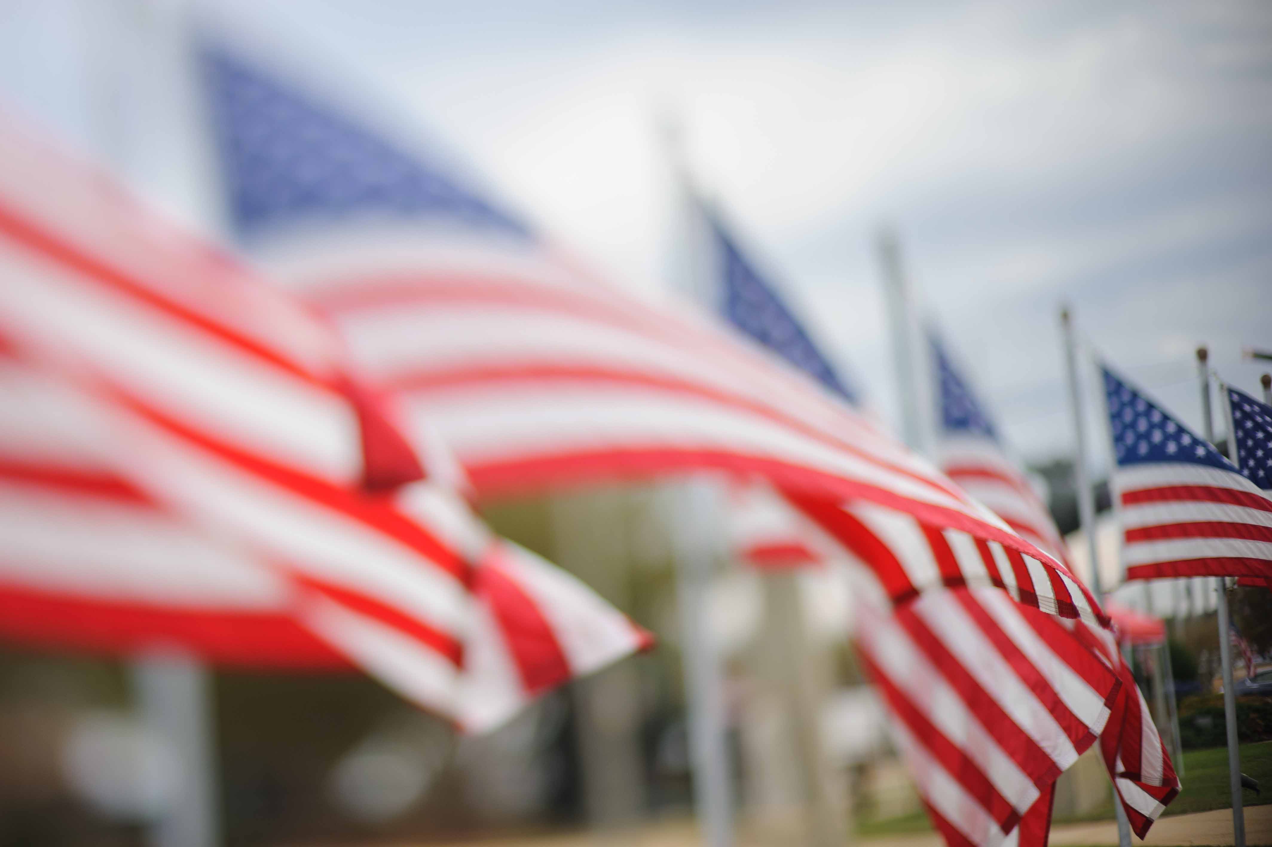 Row of American flags wave in the wind.