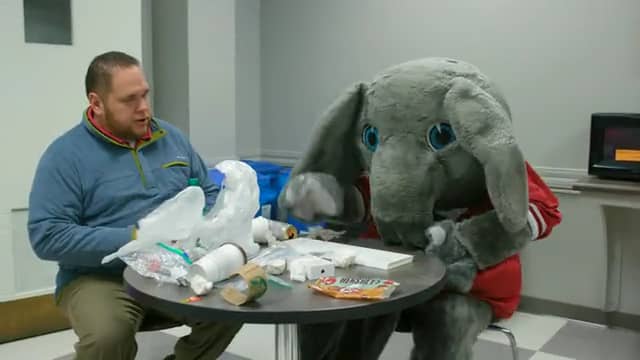 Recycling with Big Al