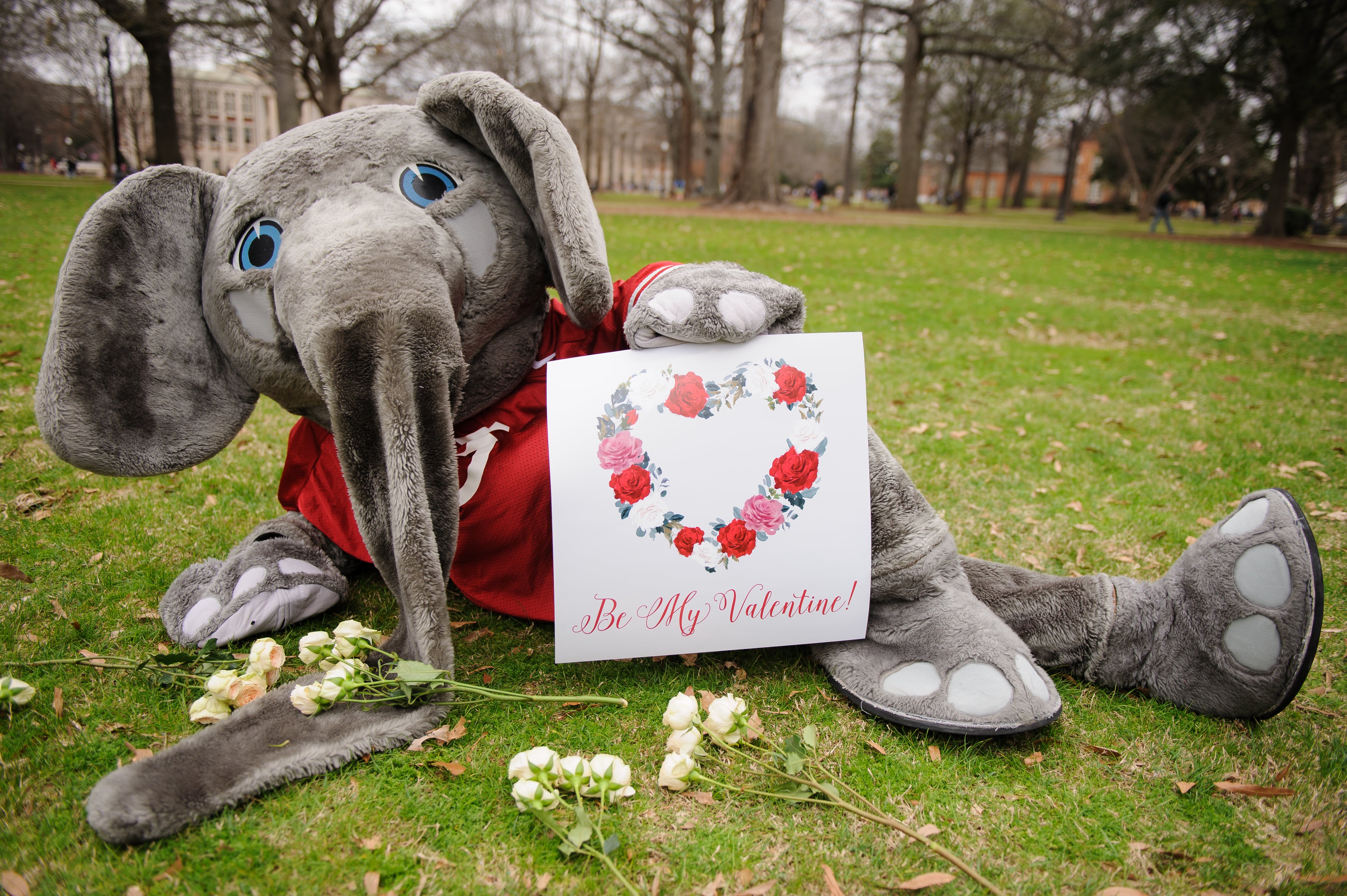 Valentine’s Day: A Guy’s Perspective