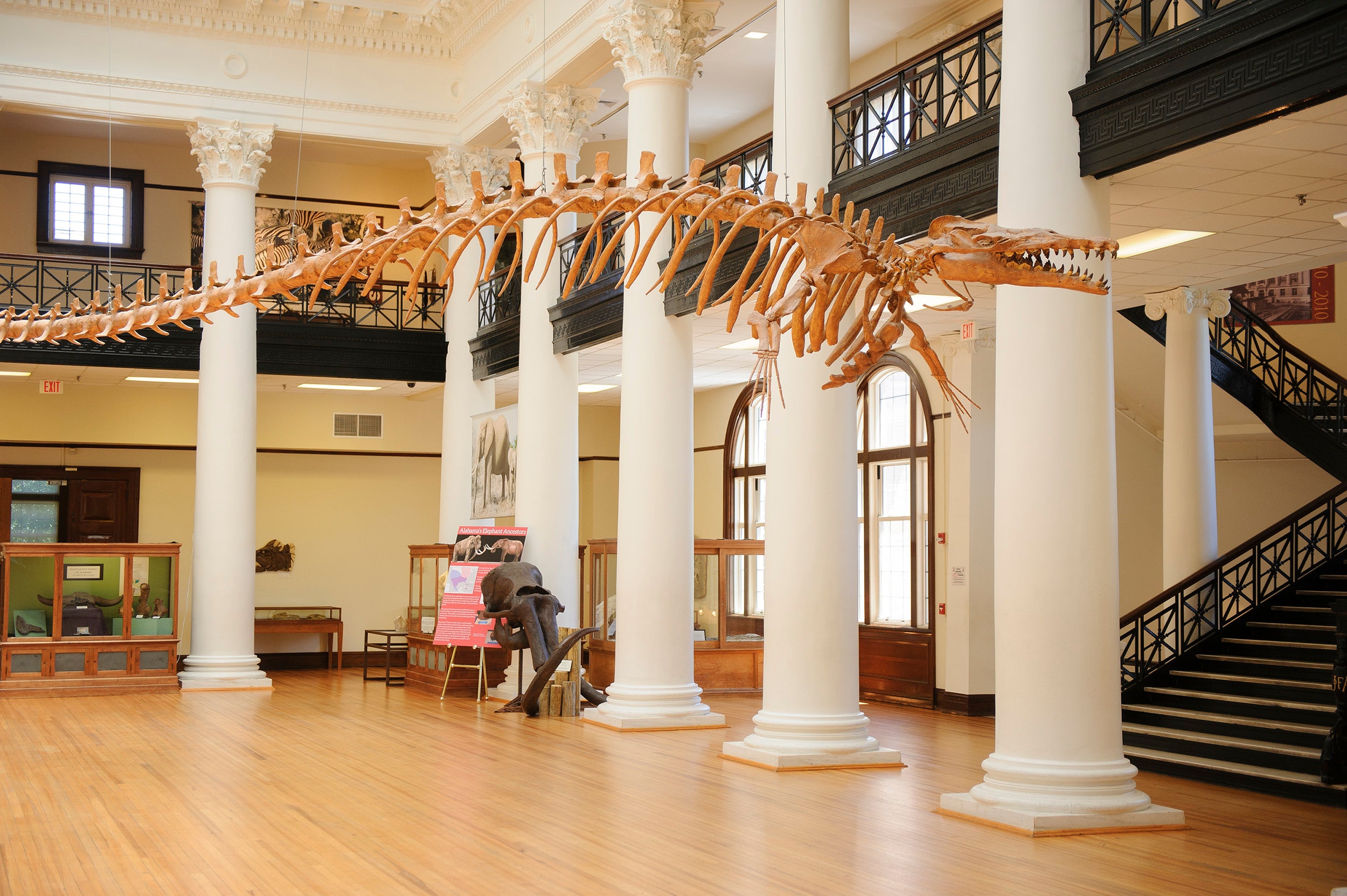 ‘Blue Star’ Families to Receive Free Admission to UA Museums