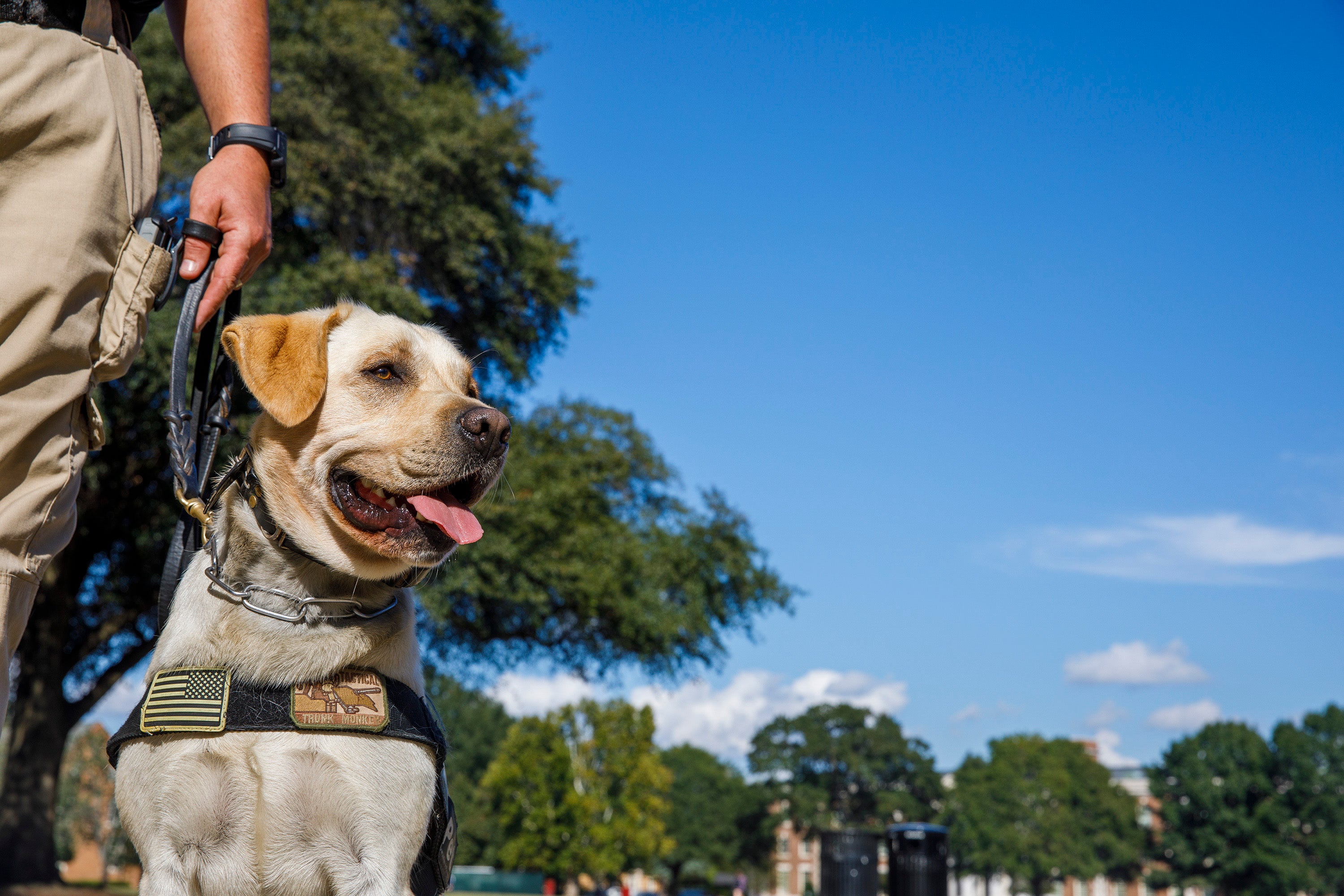 UAPD’s Best Friends